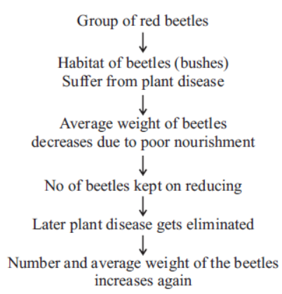 CBSE Class 10 Science Heredity And Evolution Notes Set C